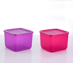 CUBIX 1L (Set of 2)