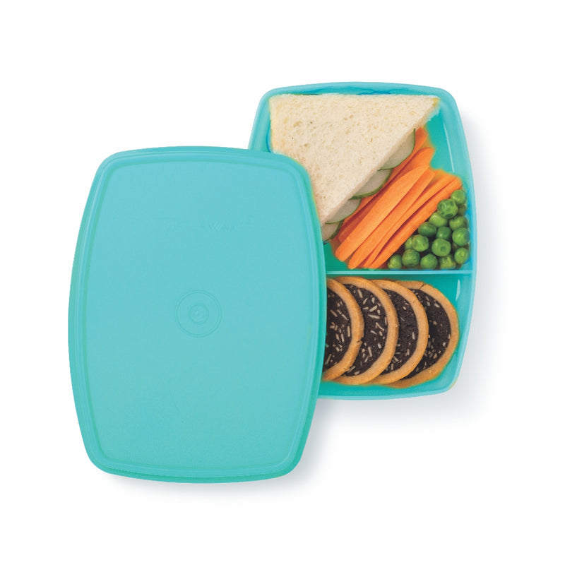 Tupperware Slim Divided Lunch Container (Set of 1), Blue