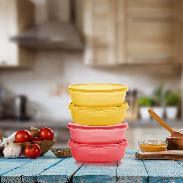 Multipurpose Refrigerator SS Bowl 1L 4pc