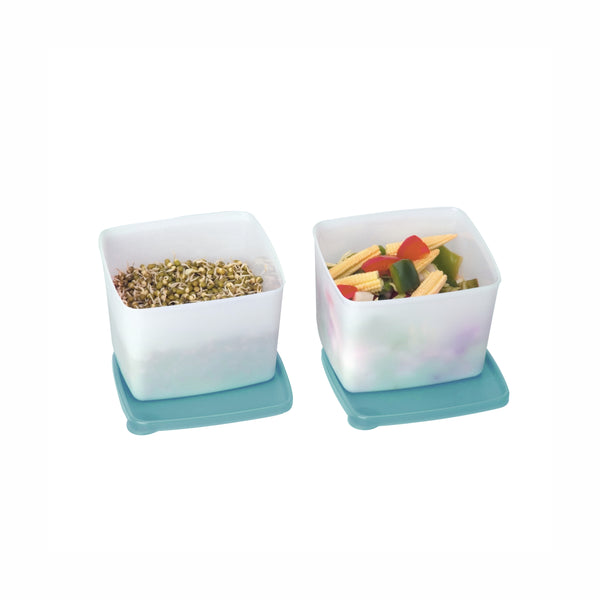 BUY COOL N FRESH MEDIUM (Set of 2)